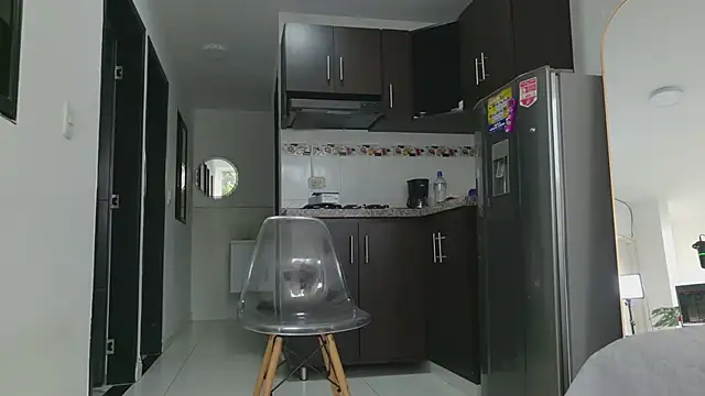 grey___27 webcam
