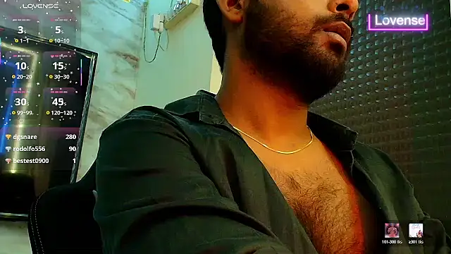 SilverShade3 webcam