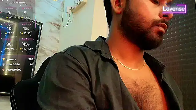 SilverShade3 webcam
