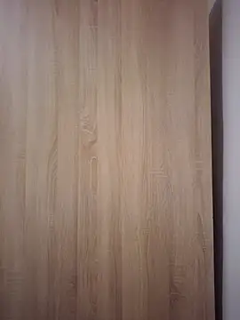 AlphaGymMale webcam