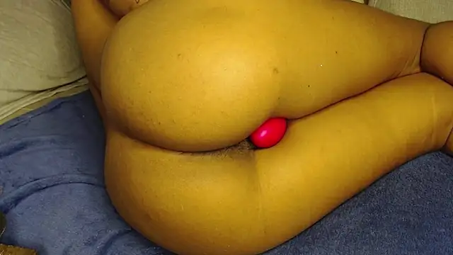 Raycatt1 webcam