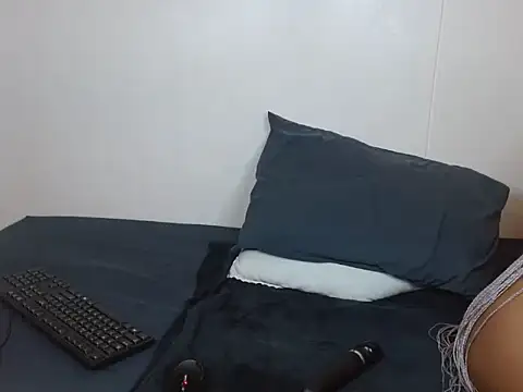 ReloadingX webcam