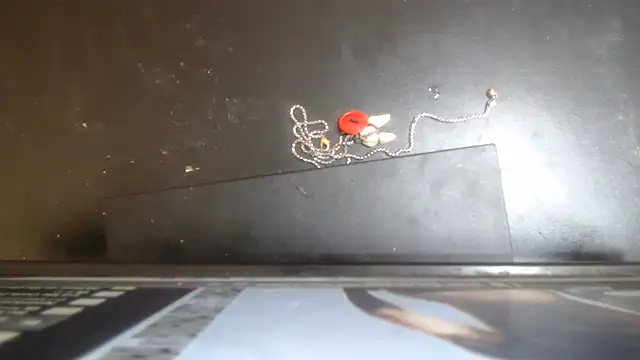 KiddycatX02 webcam