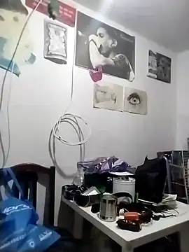 _Alaskamisa webcam