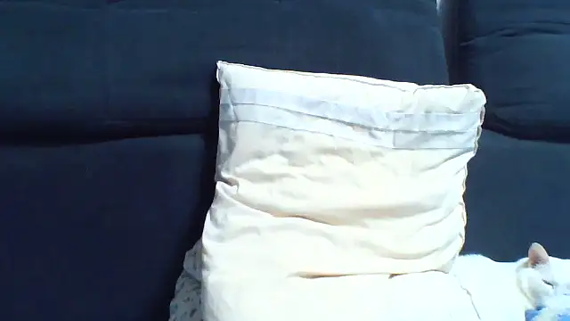 KaelNox webcam
