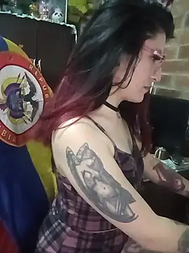 _Alaskamisa webcam