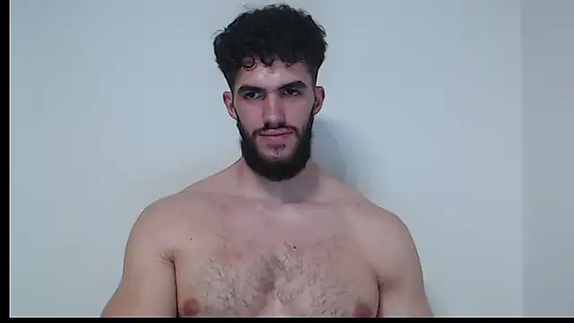 hiddenf webcam