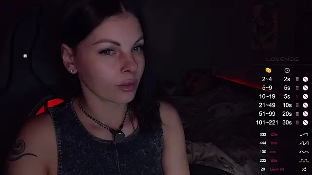 Alaska_ya webcam