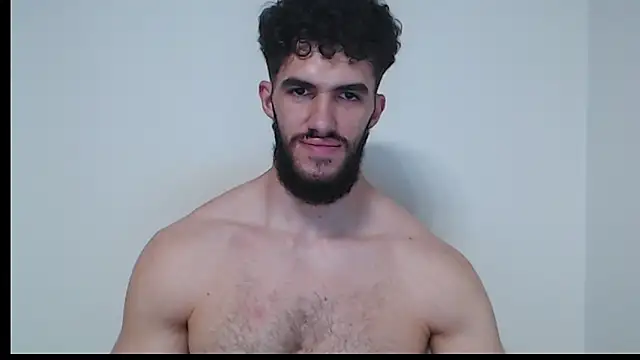 hiddenf webcam