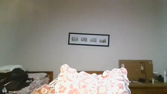 saint_not webcam