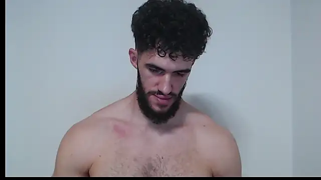 hiddenf webcam