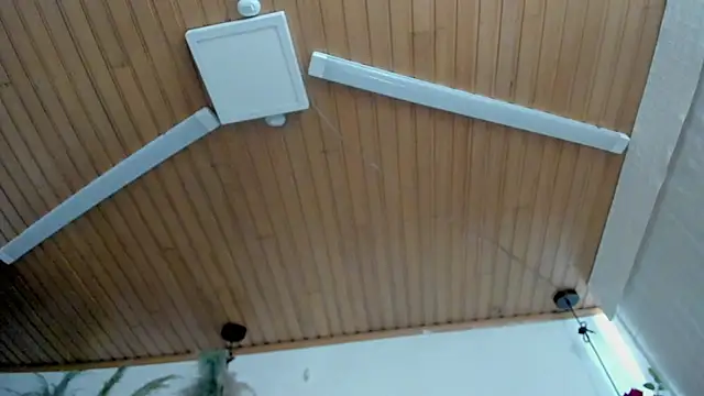 Samanthahavery44