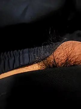fjzix webcam