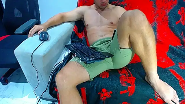 hugo_19cm webcam