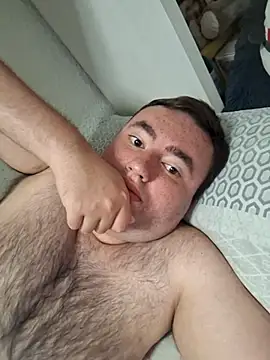 Javier_bear webcam