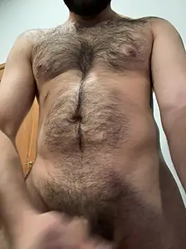 Wolff77 webcam
