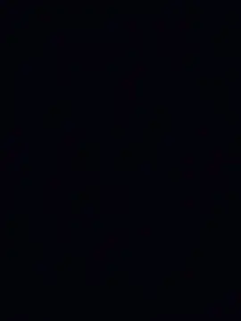 penisblock webcam