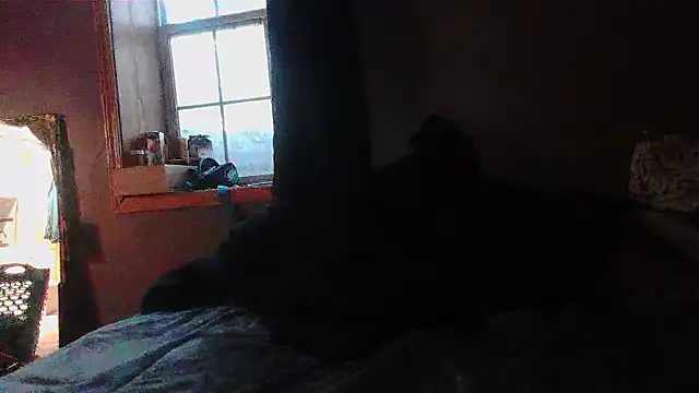 cw1ss webcam