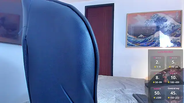 RJBarto webcam
