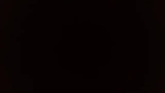 curvivan webcam