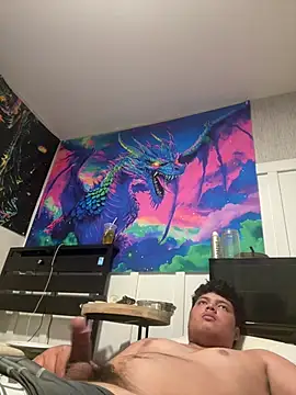 Knight2028 webcam