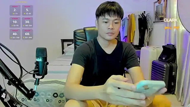 clarkdangerous webcam