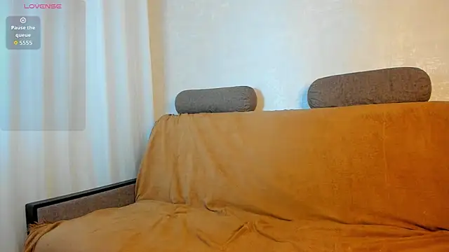 Greys_Fox webcam
