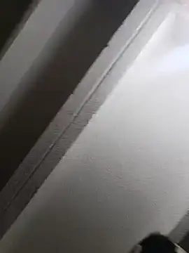 TheCofla99 webcam