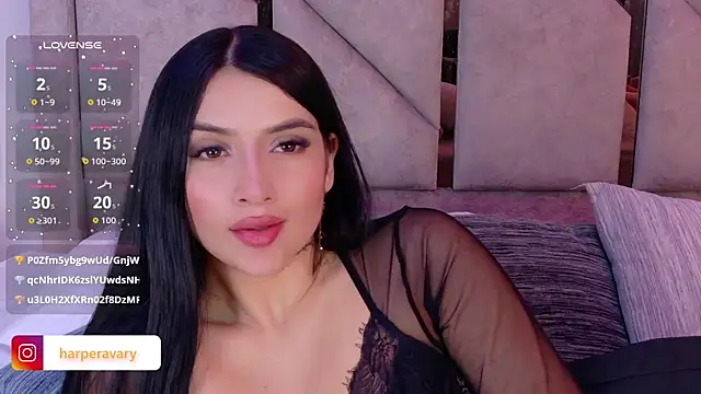 Harper-Avary webcam