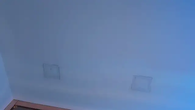 Sebax_Young webcam