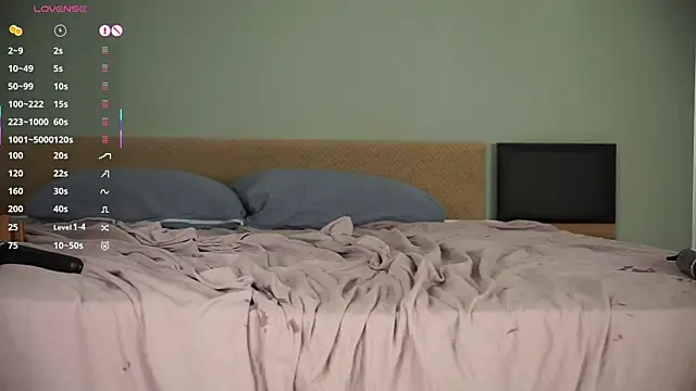 Chee_cha webcam