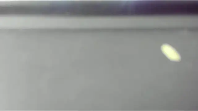 monky_0002 webcam