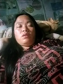 Min-in webcam