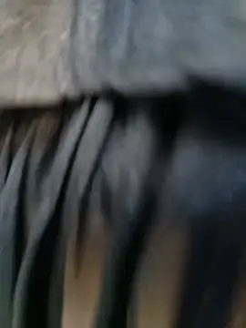 Zuzu-Asia webcam