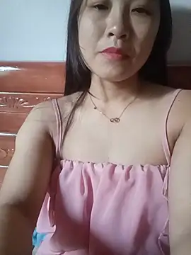Pivi12 webcam