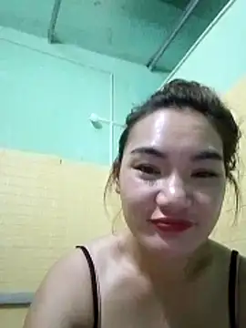 Voiva11 webcam
