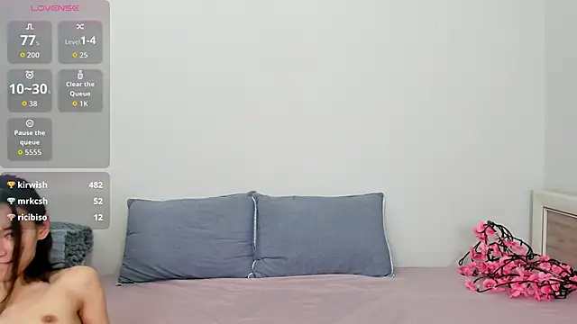 Kiraeko webcam