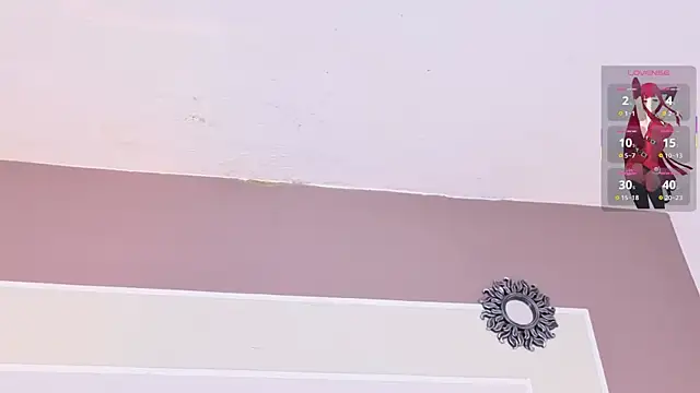 VelvetFox_ webcam