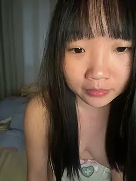 Flive-duo webcam