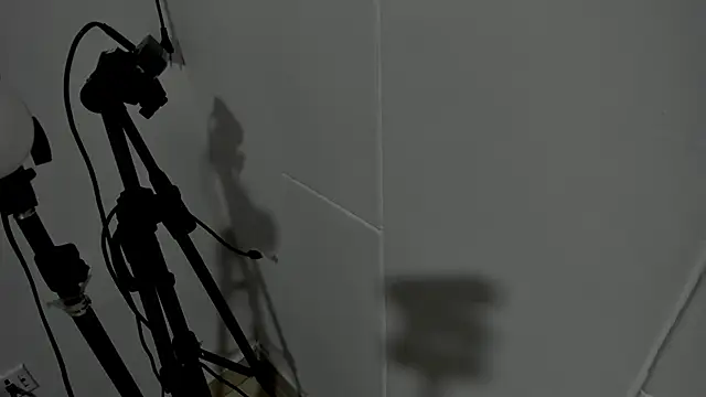 Briian__ webcam