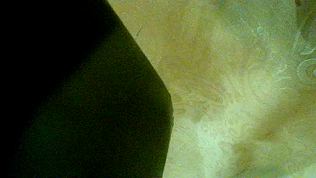Negritohot3682 webcam