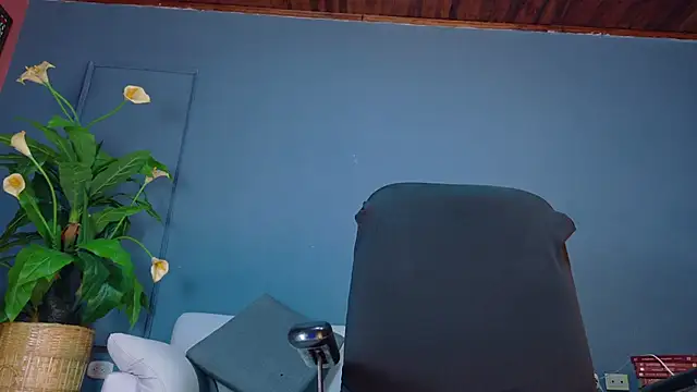 aalejo_gray webcam