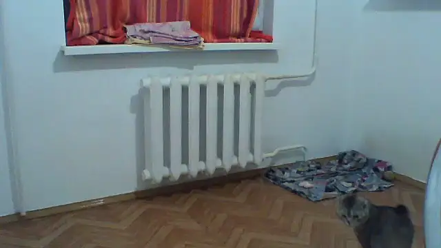 KaelNox webcam