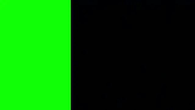 mtfgina webcam