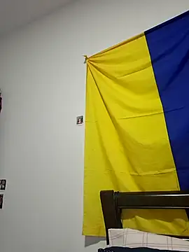 IrisBound webcam