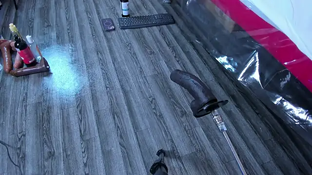 SusanCouper webcam