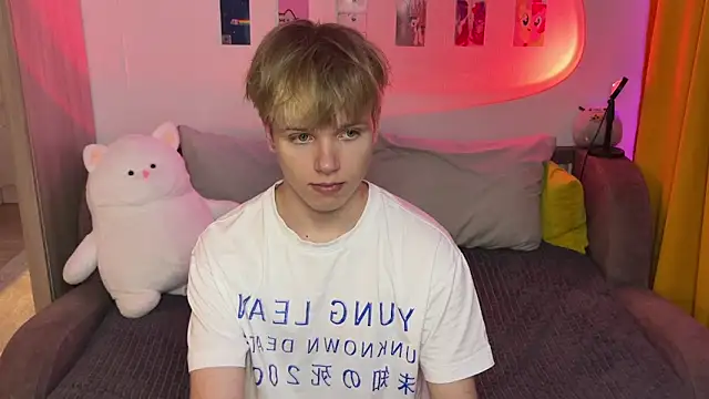 metarion webcam