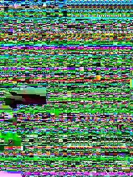 MorenaLush_Eup webcam