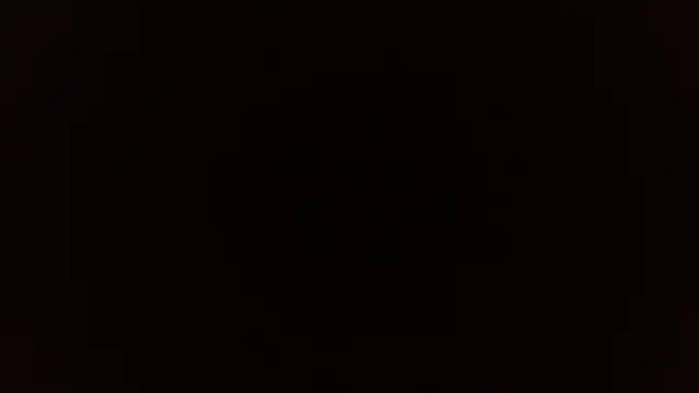 curvivan webcam
