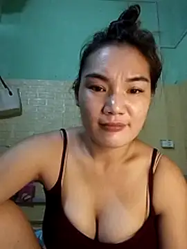 Voiva11 webcam
